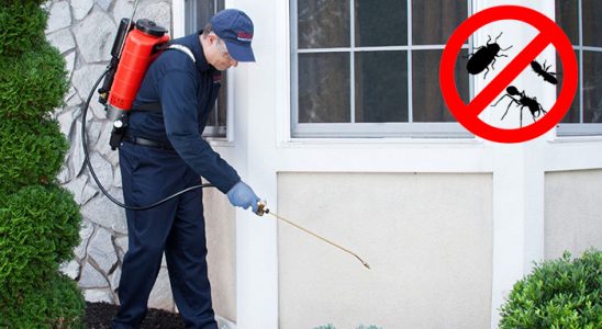 Emet Gümüşkurt İlaçlama böcek ilaçlama ve haşere kontrolü — ilaclama-tr.com